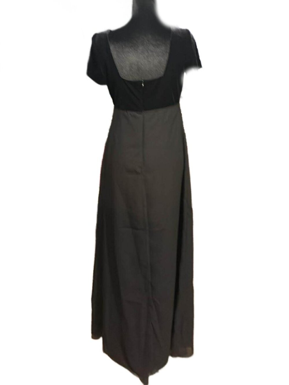 Vintage Michelangelo Regency Gown - Picture 3 of 4